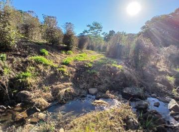 Terreno , Bueno Brandão · Terreno com Plantação de Café à Venda – Sul de Minas