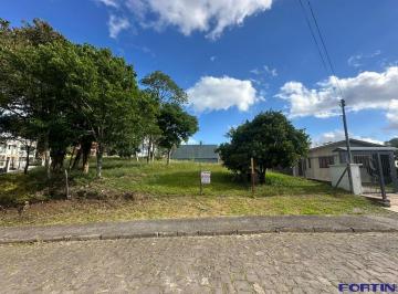 42379137_g.jpg · 
                                Terreno à venda em Caxias do Sul, Jardim Eldorado
                 