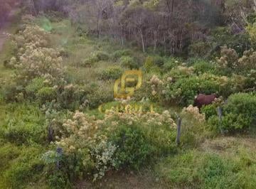 Terreno · 360m² · Ótimo Terreno Inteiro Sem árvores Apenas 800 mts do Mar ao Lado do Porto Coamo