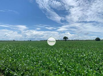 Rural , São Miguel do Araguaia · Fazenda a venda em São Miguel do Araguaia-GO - 484 HA - Safra e safrinha
