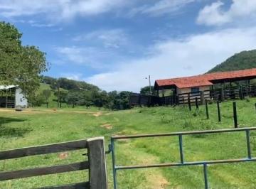 Rural , Formoso · ÓTIMA FAZENDA 1803 HECTARES, TODA FORMADA PARA CIAR GADO RS 15.160.000,00