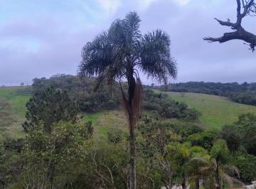 Foto 02 · Chácara com 1 banheiro à Venda, 5.000 m² por R$ 319.000 Cód. ch2522