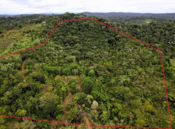 202511071208585257.jpg · Sítio 10ha Itacaré, Camboinha | Vista Mar, 3 Nascentes e Pomar