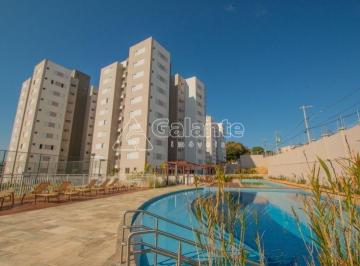 0 · apartamento à venda em Jardim Nova Europa