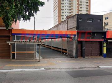 fd45b36e0bec297e334777df7bb8e435.jpg · Terreno