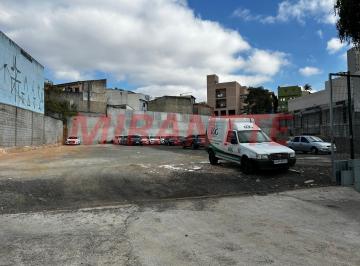 abf29c6cbb02757d9f9c1176cedff44b.jpg · Terreno