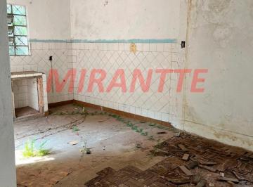 76ff879f7cbeef45cfabb6b515f8fce2.jpg · Terreno