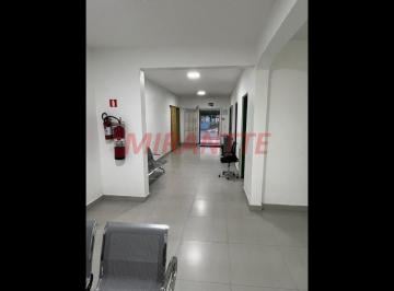 67ff2395f71d5842e5ba756328e834b2.jpg · Comercial de 440m²