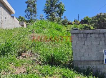 affe1707badea976ab79dcb13033f289.jpg · Terreno