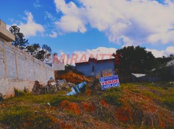 6d665562eee98f84b18e8766895fb079.jpg · Terreno