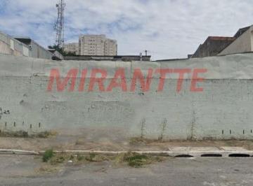 0c86694bf2667330e3eb1add19170da0.jpg · Terreno