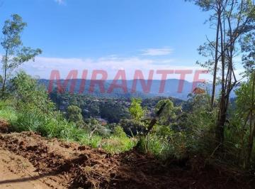 e2845acb82c33f3405d592fc58de70b7.jpg · Terreno