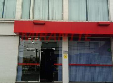 630328561022bb78cefd298e6ae2bd2b.jpg · Comercial