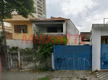 69274ba8c9318932ee4e7fd78304d6fc.jpg · Terreno