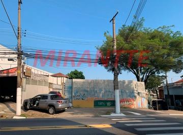 91c02b7368fb7f66e9ee6ea3bda285f2.jpg · Terreno