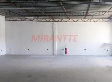 6bb02c3441425851653e445e0b48d42c.jpg · Comercial de 705m²