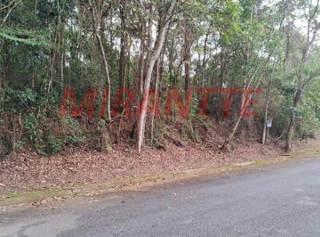 04a951f10334cc13e6d5e0e0edf1fca6.jpg · Terreno