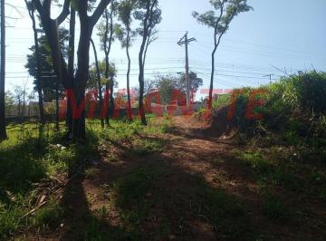 633f175c85296596c3506570861a087e.jpg · Terreno