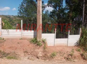 3d3908db5728ccfec61fada0b42ecd26.jpg · Terreno