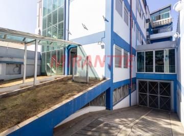 98fc15ad1da603a636e78d896d569440.jpg · Comercial de 1009m²