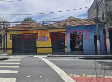 df5c04694d002a53ecb45650d987a236.jpg · Terreno