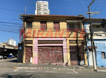bdf7c42e037f0ba37d0e6da7f98dc646.jpg · Terreno