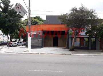 d1fb7a2a6310ea358d1be21522fdff2a.jpg · Comercial de 250m²