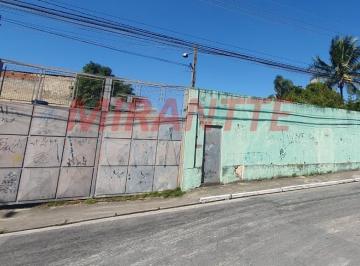 732ea3cf1c899ebcffba2879db6ef88d.jpg · Terreno
