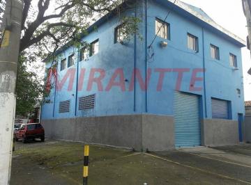 0b33b1119c5b63562142de519d4b823d.jpg · Comercial de 330m²
