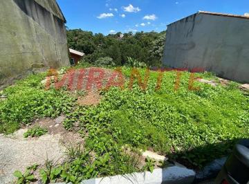 d53fee9b5b7795a88f15a03dcd9eca88.jpg · Terreno