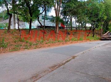 0564914d228a0ac1f5bbf2ad7a08d689.jpg · Terreno