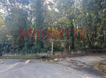 e4efb09acb4a5ab65db9e5e9a23fcb2e.jpg · Terreno