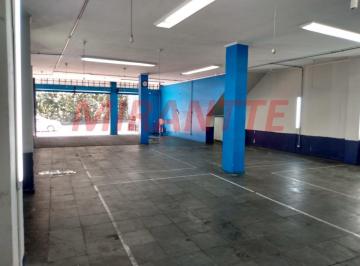 d94912956e88e3e7e4fc04942d49ffe1.jpg · Comercial de 250m²