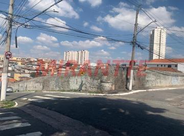 7714f6720e5b6d8d5fff3f6595b32a8b.jpg · Terreno