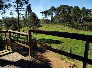 Foto 01 · Chacara, Papanduvinha, Campo Alegre, SC