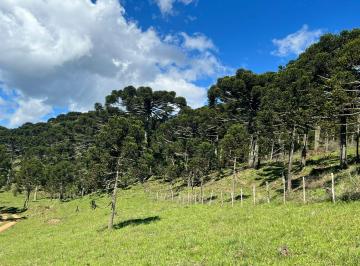 Rural , Urubici · Terrenos no Pinhal - Urubici