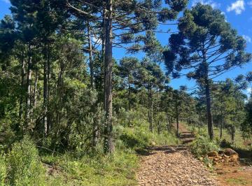 Terreno , Urubici · Chácaras em Urubici com 2 hectares