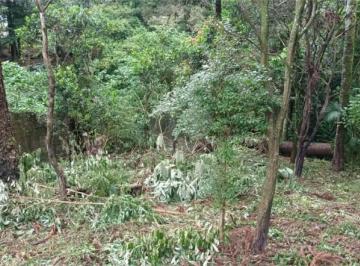 Terreno , Curitiba · “Invista com Segurança: Terreno Amplo e Versátil no Pinheirinho”