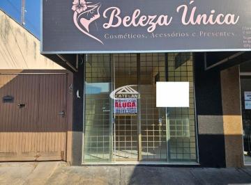 Comercial · SALÃO COMERCIAL BADY BASSITT - SP