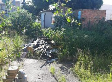 Foto 01 · Terreno, Forquilhinha, São José, SC