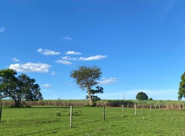Rural , Brasilândia · Sítio à venda em Brasilândia-MS.