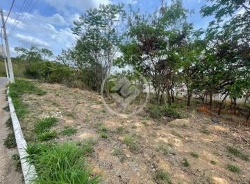 WhatsApp Image 2025-11-08 at 15.57.43 (1).jpeg · lote comercial em lagoa santa