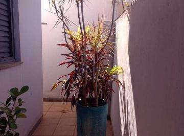 Casa · 188m² · 3 Quartos · 3 Vagas · Casa com 3 dorms, Vila Braz, Pirassununga - R$ 600 mil, Cod: 10133269