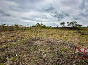 Rural , São José dos Pinhais · Chácara sem benfeitorias a Venda