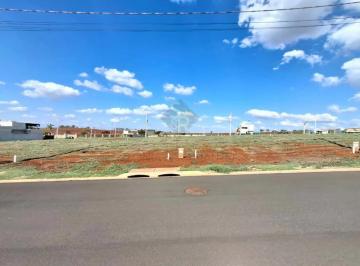 Terreno · 316m² · Terreno misto para Venda no Bairro Residencial Alto do Castelo, em Ribeirão Preto/SP.