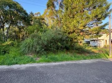 752250.jpg · Terreno - Bairro Carniel