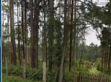 Terreno · 54330m² · Terreno em Jardim Campestre  -  Embu-Guaçu