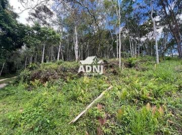 Foto 01 · Terreno à venda em Juquitiba - SP, com 2.500m² de área: a oportunidade dos seus sonhos!