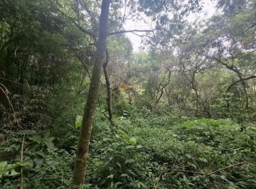 Imagem 1 · Terreno