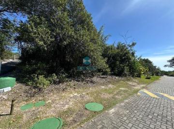 Foto 21 · Ilha dos Pássaros